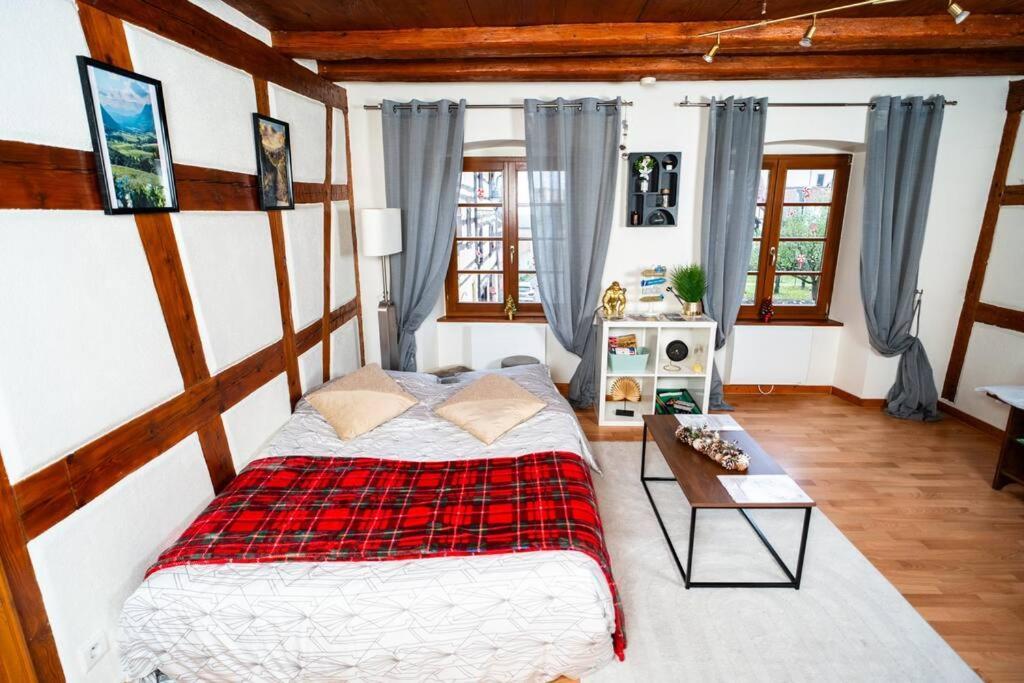 Refuge Des Vignerons - Turckheim Apartment Екстериор снимка