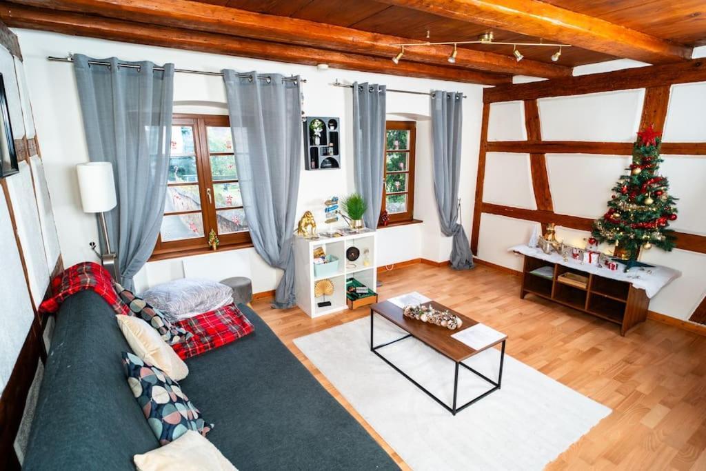 Refuge Des Vignerons - Turckheim Apartment Екстериор снимка
