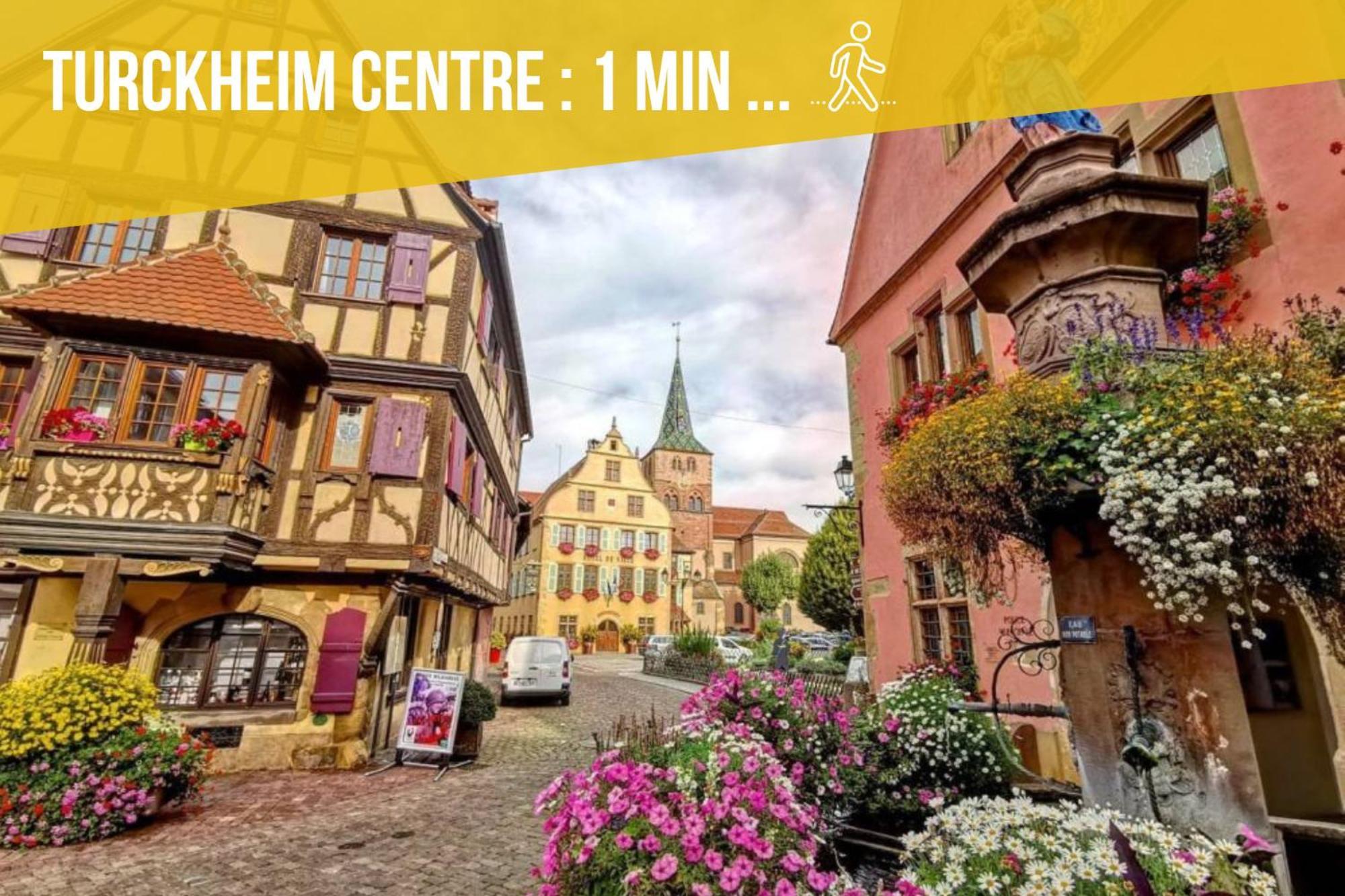 Refuge Des Vignerons - Turckheim Apartment Екстериор снимка